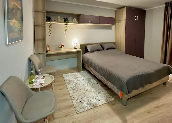 Garsoniera Park Apartment *