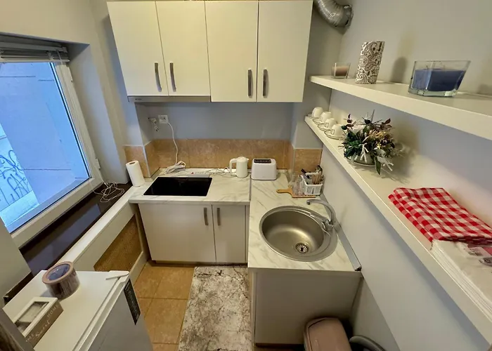 Garsoniera Park Apartment *